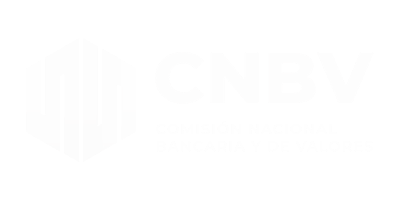CNBV · Comisión Nacional Bancaria y de Valores